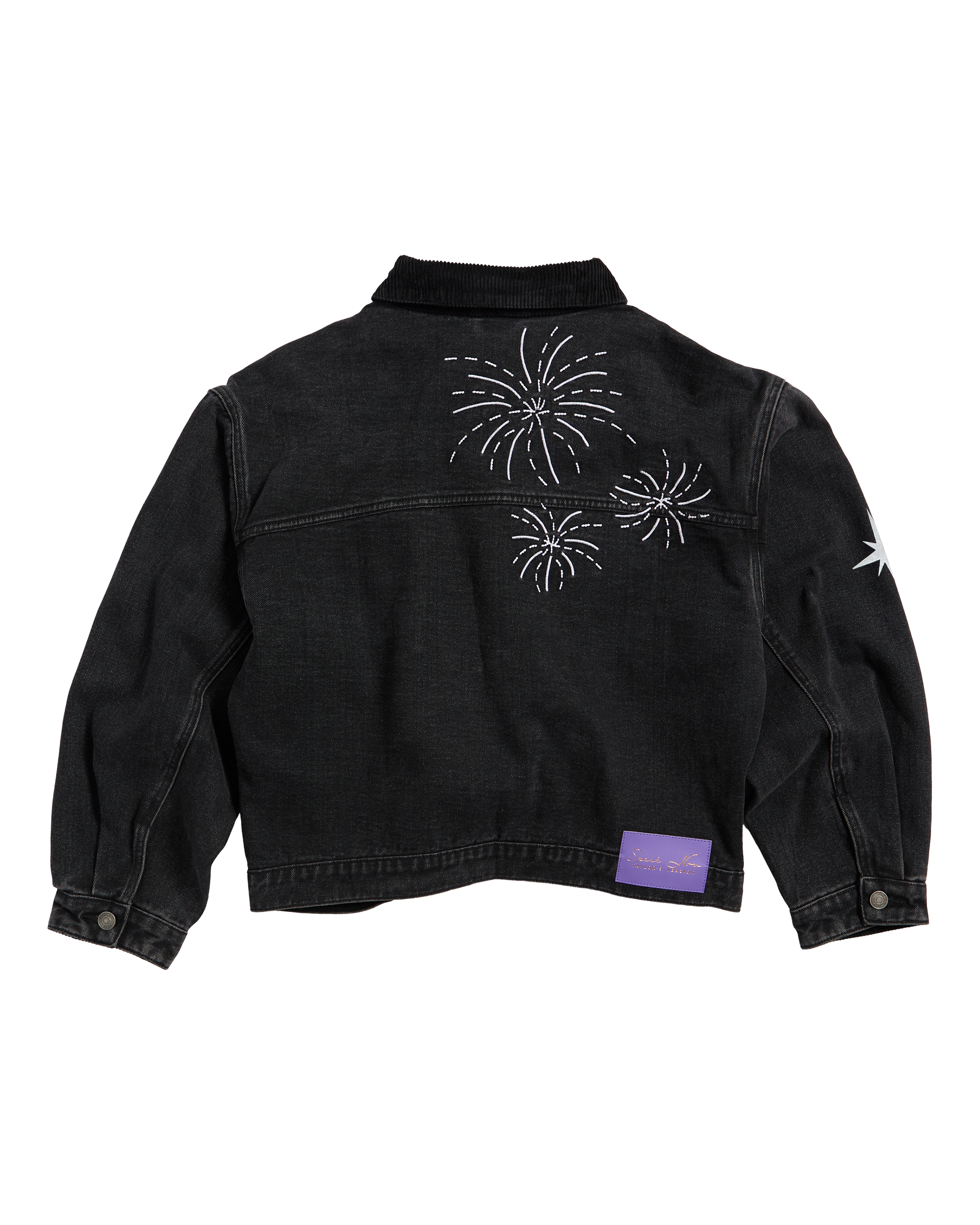 Speak Now (Taylor's Version) Jacket